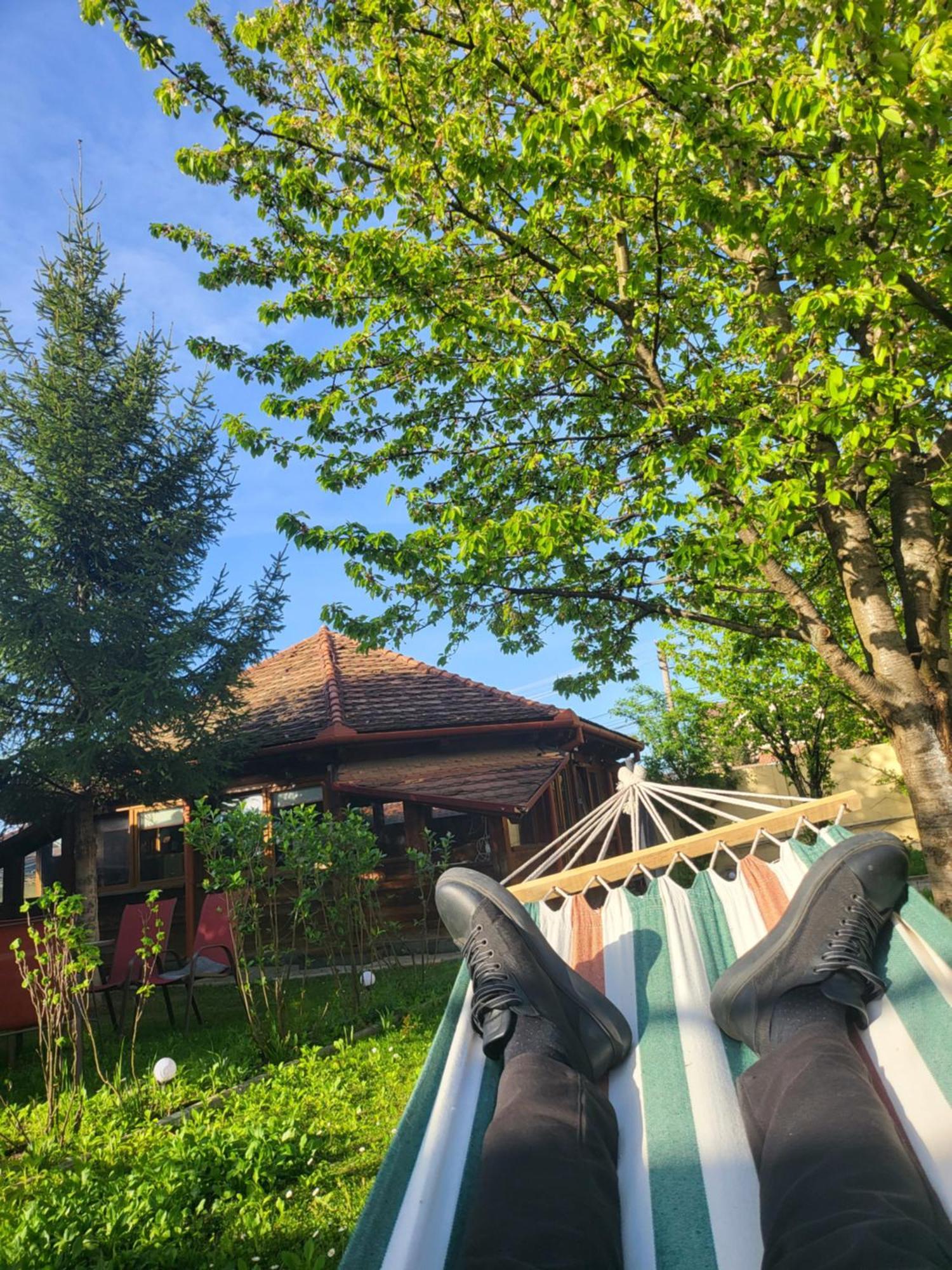 Pensiunea Greenday 17 Sibiu Ngoại thất bức ảnh